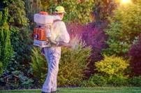 Pest Control