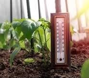 Temperature for Plants